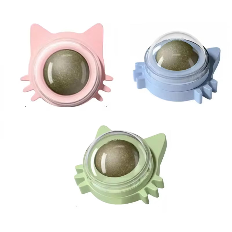 small medium cats pet supplies